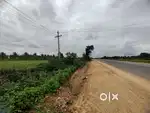 Land for lease beside NH173 for petrol bunk or hotel