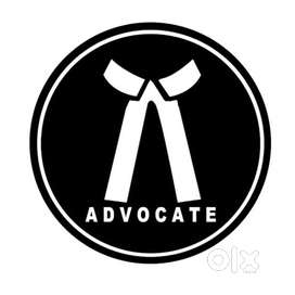 Legal Solution Firm