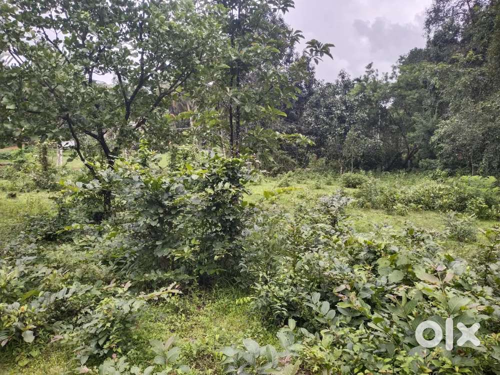 1.35 acre land for sale Manipal to hiriyadka road