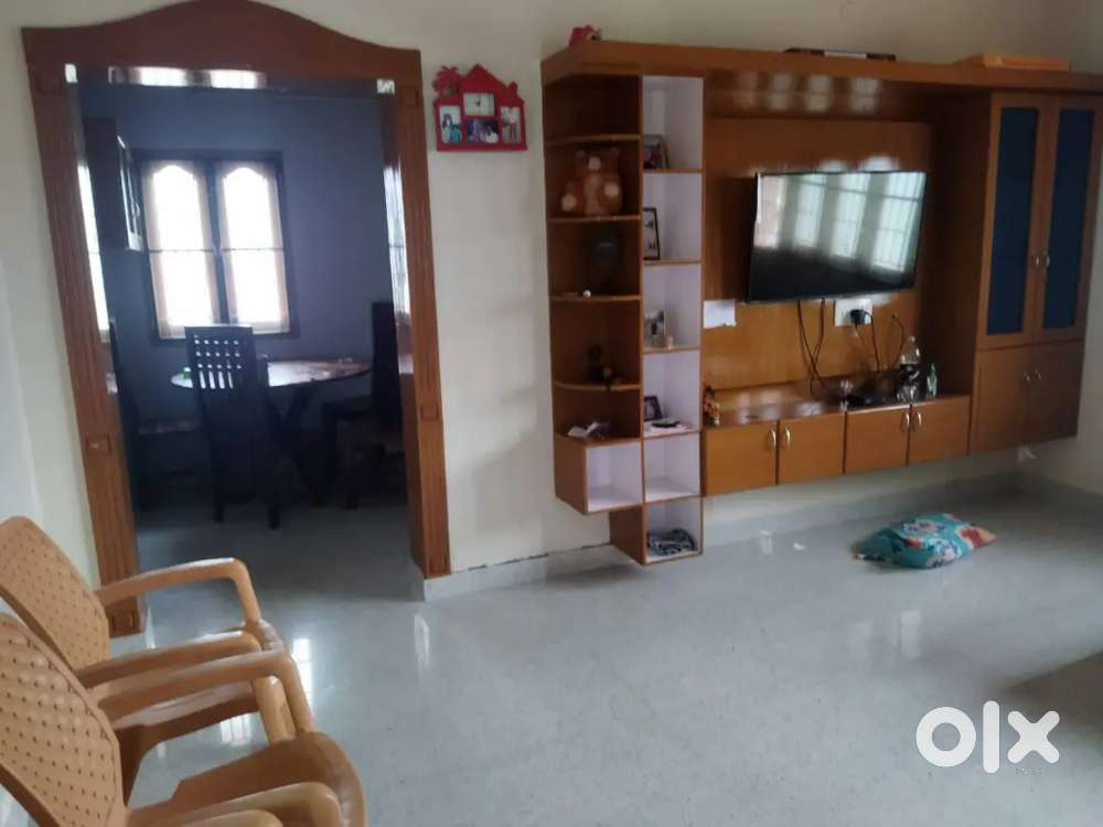 NEW INDEPENDANT HOUSE FOR RENT