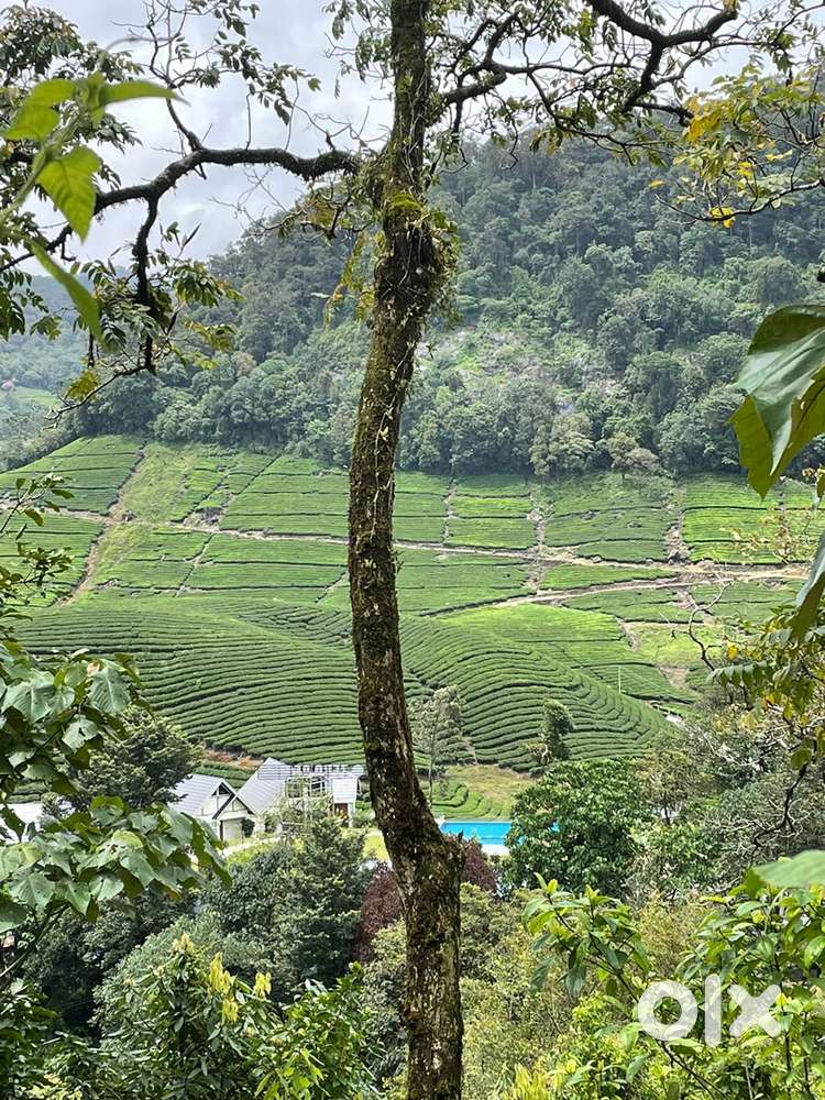 Urgent Hiring of Staffs for a Resort in Munnar