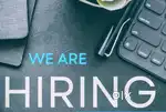 SALES EXECUTIVE