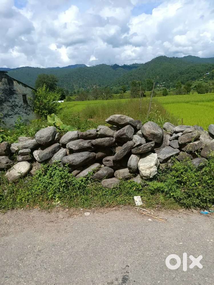 In road side