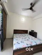 Looking for flatmate for 2 bhk flat Dwarka sector 1