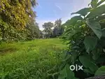 Aluva Kuttamassery 20 cent land for sale