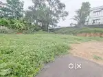 house plot 13 cents near Ettumanoor-kanakkarry 1.70 lakh/cent