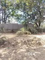 PLOT FOR SALE