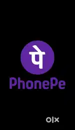 Business development executive