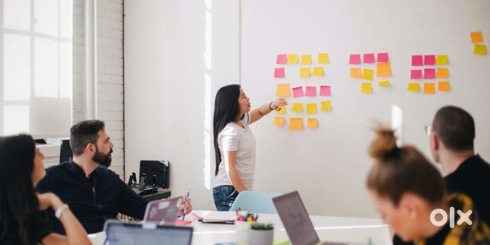 Java, Testing, Python bdoor process.