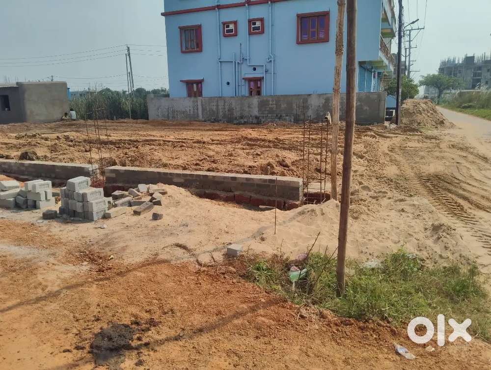 Lopamudra sed by rent only