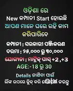 ନିଜ  ଫୋନ କୁ ବେବହାର କରି  ଇନକମ