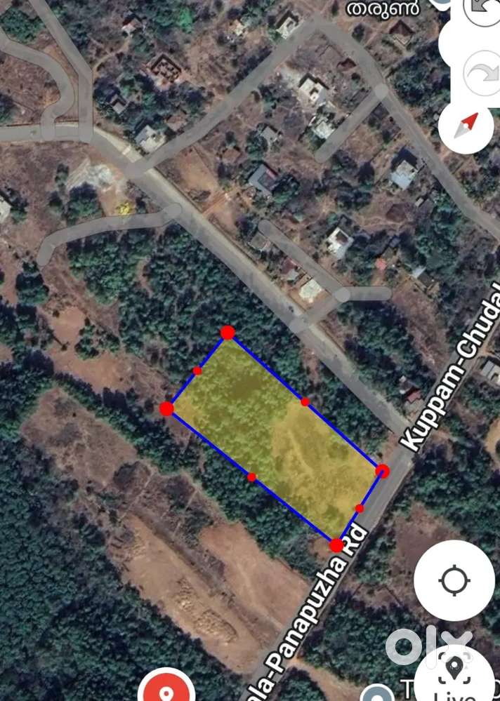 അമ്മാനപ്പാറ - ഒര് ഏക്കർ പ്ലോട്ട് വില്പനക്ക്