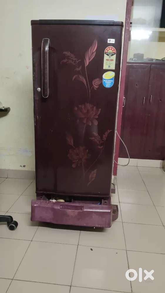 LG fridge 5 star