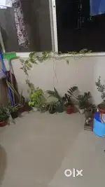 I need a female working / student lady for sharing