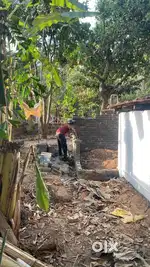 Need young caretaker for small beach house