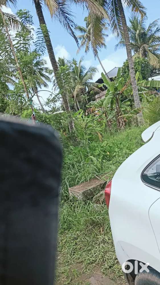 Kakkanad ngo quaters 6 cent good house plot