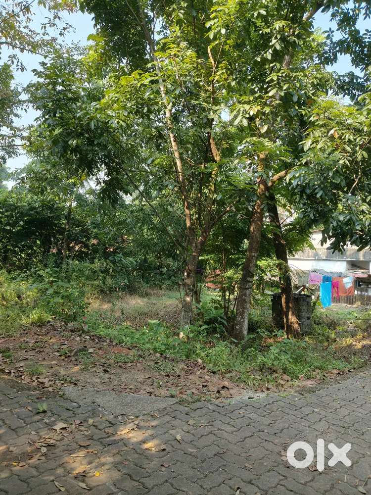 5 cent plot for sale, near avt company, kaipoorikkara