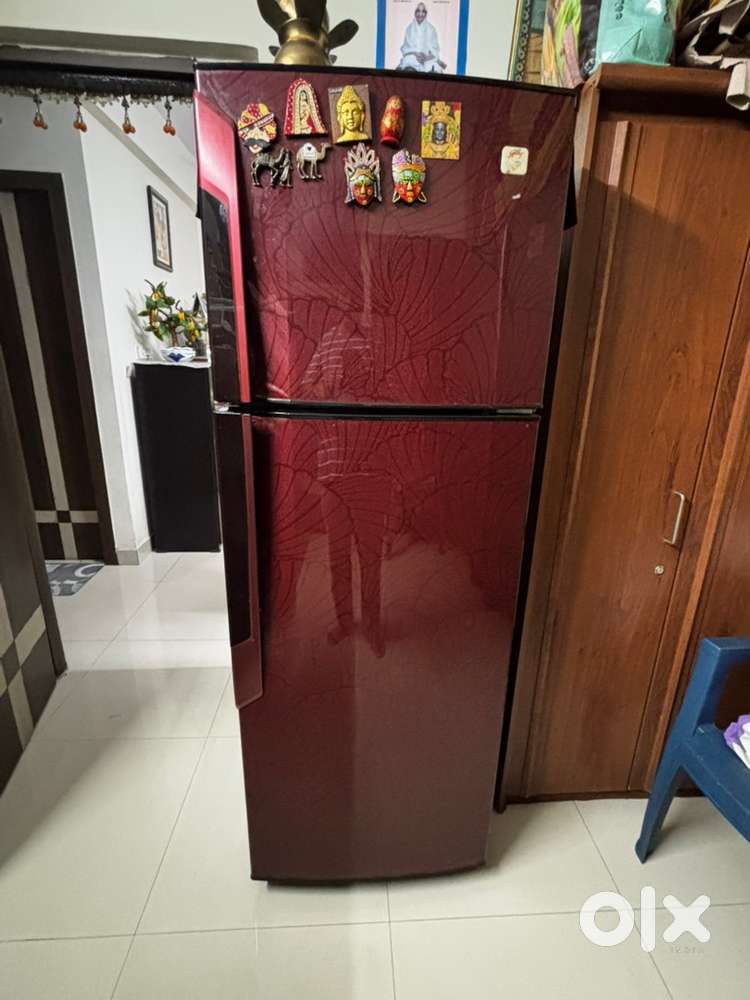 One Double door fridge 300L capacity of Godjrej Eon
