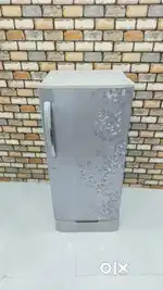 With inbuilt stand lg silver colour flower print 210 litres in budget