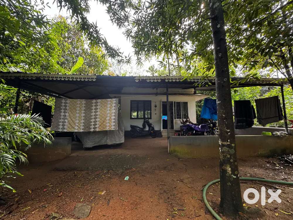 House with 15 cent of plot at Kallur