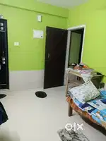 need female room mate