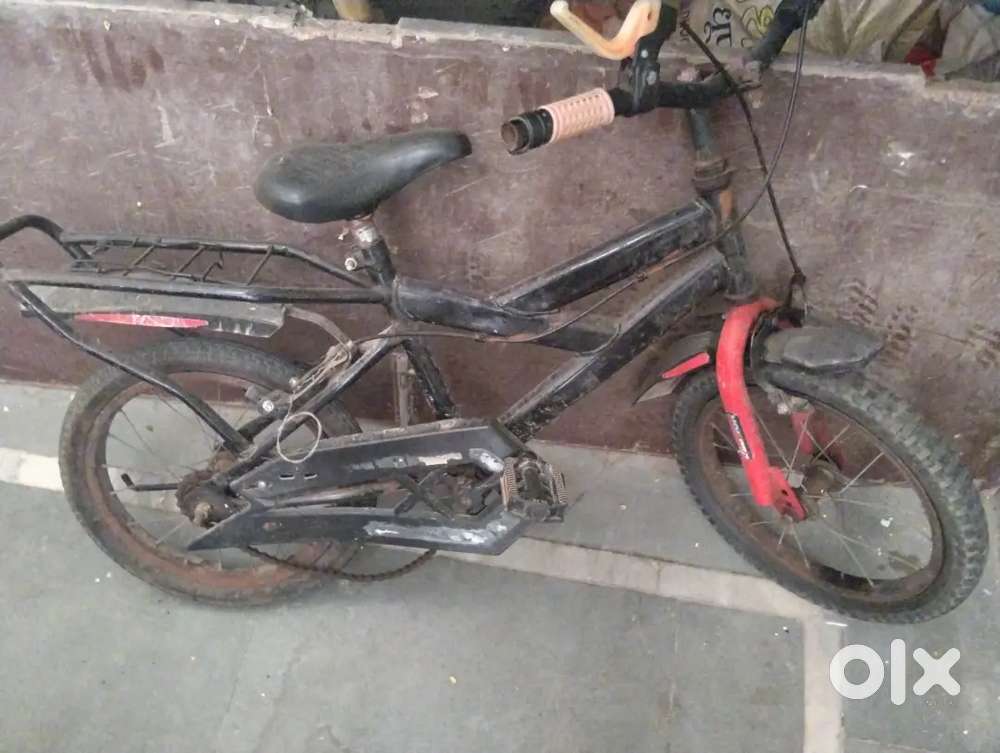 20 inches cycle