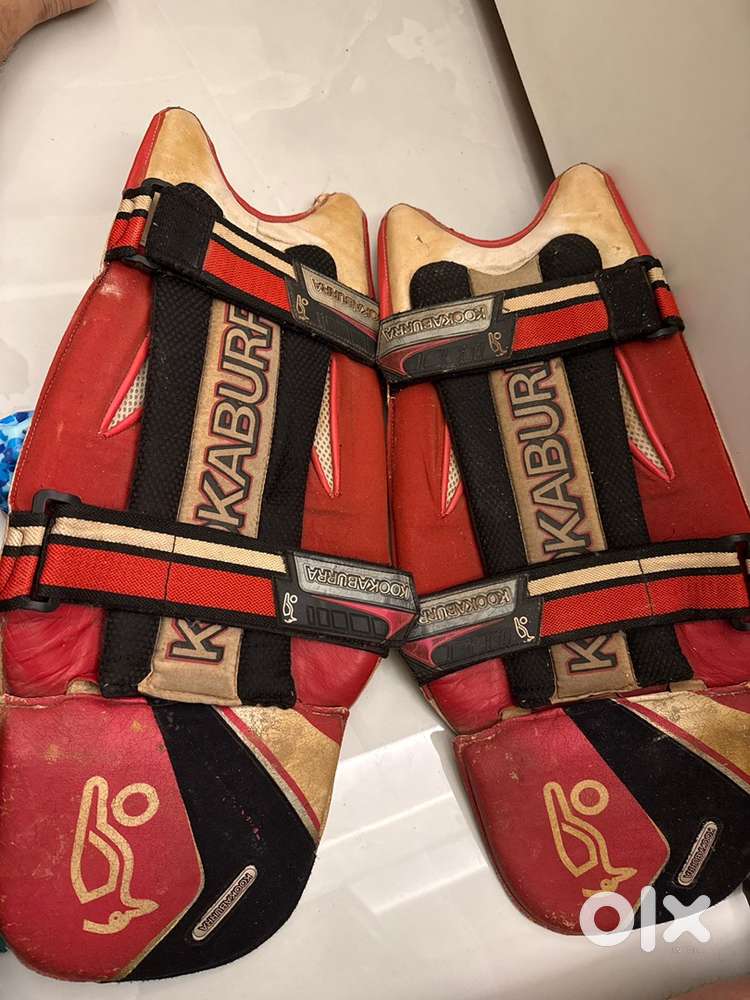 Complete Cricket Kit