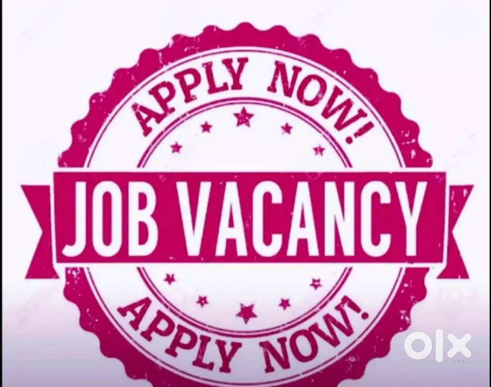 Urgent Requirement for office work