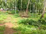 Plots for sale mala, poopathi, paramad