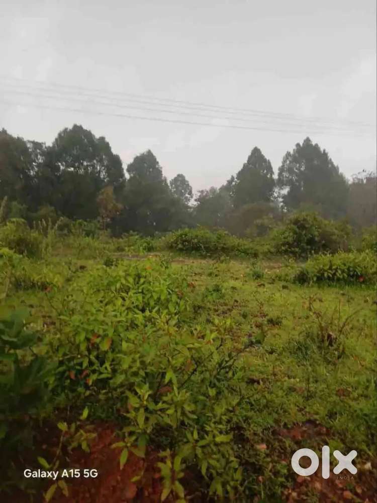 Land for sale
