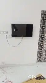 Room for Working Women and College Students