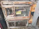 Wooden cage