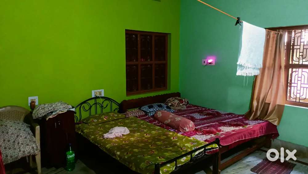 Need a female room mate