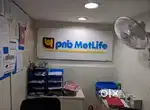 PNB METLIFE