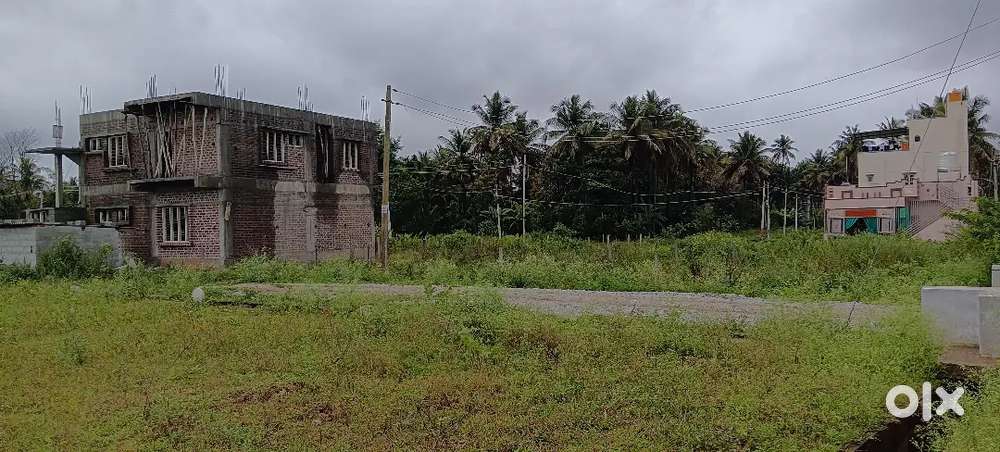 Residential plot