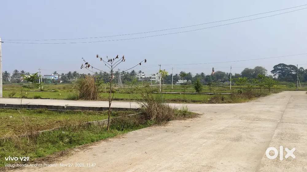 800sqy land for sale at Rajanagaram National Highway