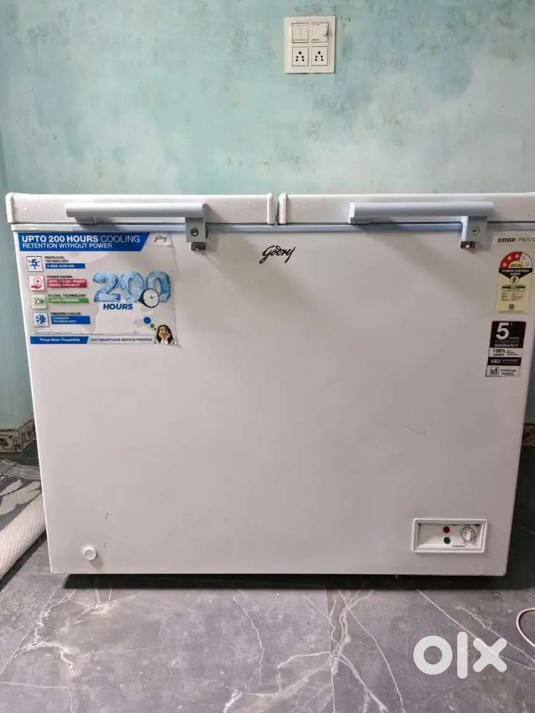 Godrej 300 L Double Door Standard Deep Freezer