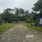 Rent space for godown restaurant showroom