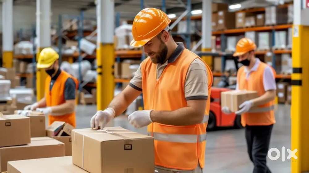 Wanted Picker Loader - Dwarka