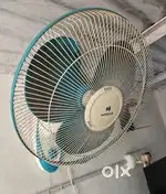 Havells Wall fan for immediate Sale
