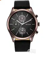 Titan watch