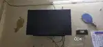 Display not working