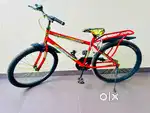 Cycle just 3 months old