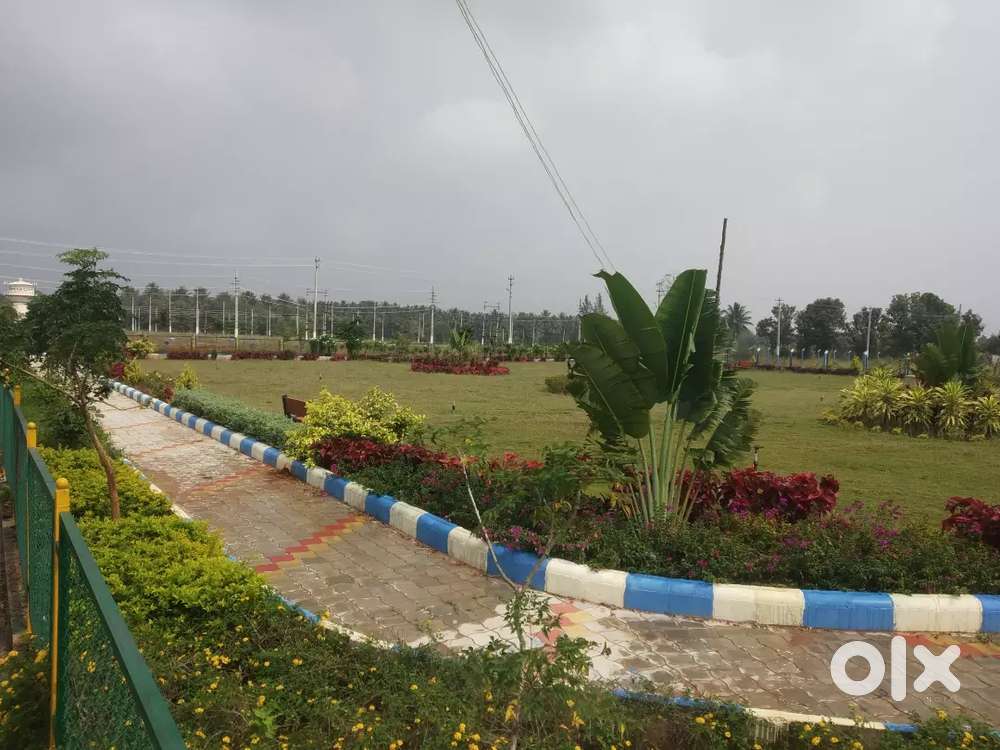 12 kms from Mysore city