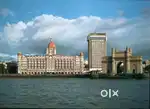 aurika hotel mumbai house keeping waiter helper chef reuire.mumbai.job