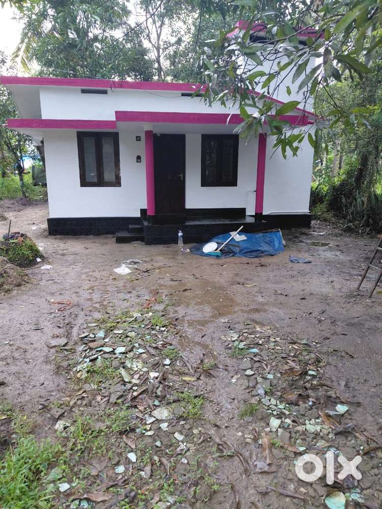 13.5 cent plot with small house for sale at Edakulam, Irinjalakuda