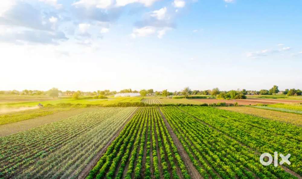 Mujhe apni ek number farm land sale Krna hai ...i