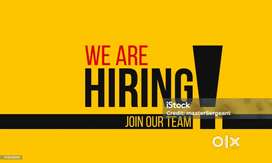 Wanted urgent smart exp female junior lawyer asst