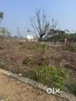138 gaj plot for sale near mansa devi mandir