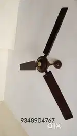 Ceiling fan